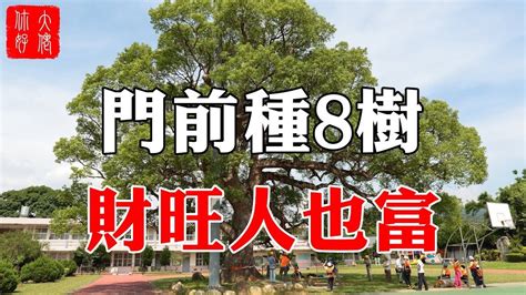 門前適合種什麼樹|【門前種什麼樹好】門前種哪3種樹最旺宅？避開6種厄運樹，財運。